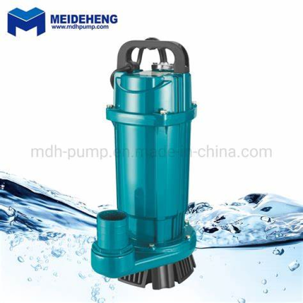 RR RR 1HP RR-CWSP750-P Clean Water Submersible Pump